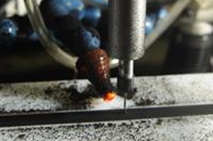 Hole Drilling Capability for Rubber Extrusions by Cooper Standard